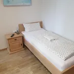 Stanek Gæstehus