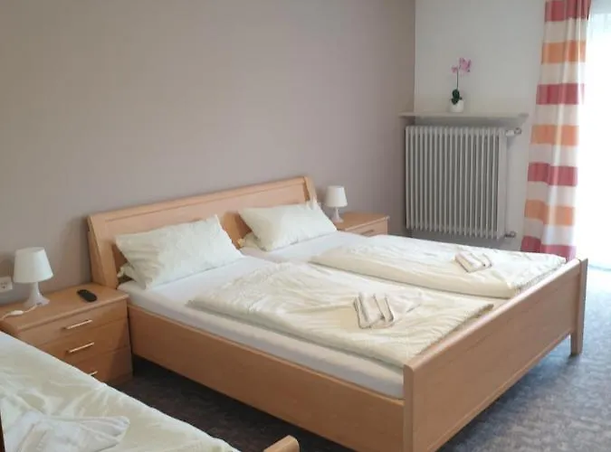 Pensionat Stanek 3*